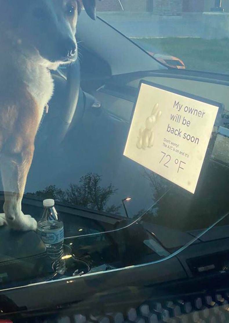 Gewoon een verzameling hilarische foto's #1436