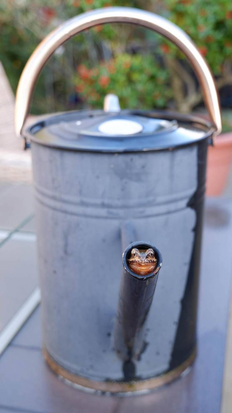 Gewoon een verzameling hilarische foto's #1414