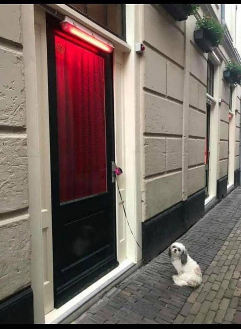 Gewoon een verzameling hilarische foto's #1393
