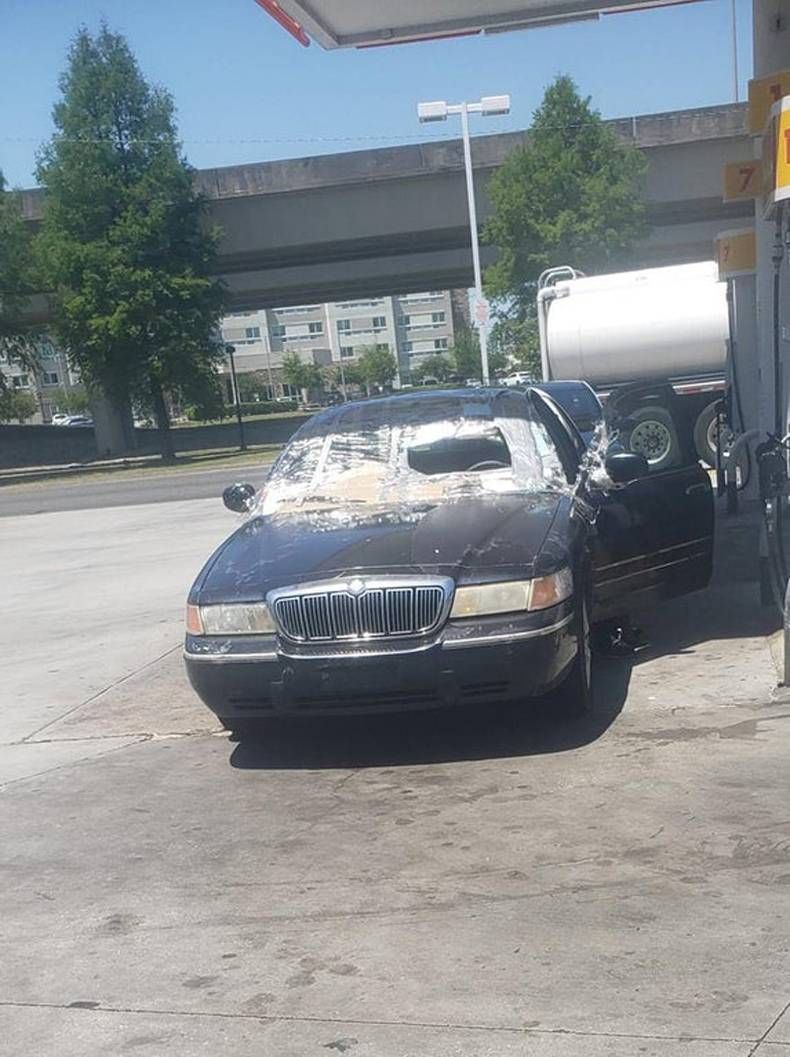 Gewoon een verzameling hilarische foto's #1432