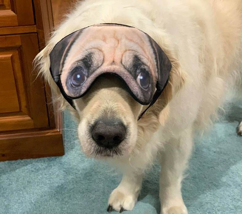 Gewoon een verzameling hilarische foto's #1409