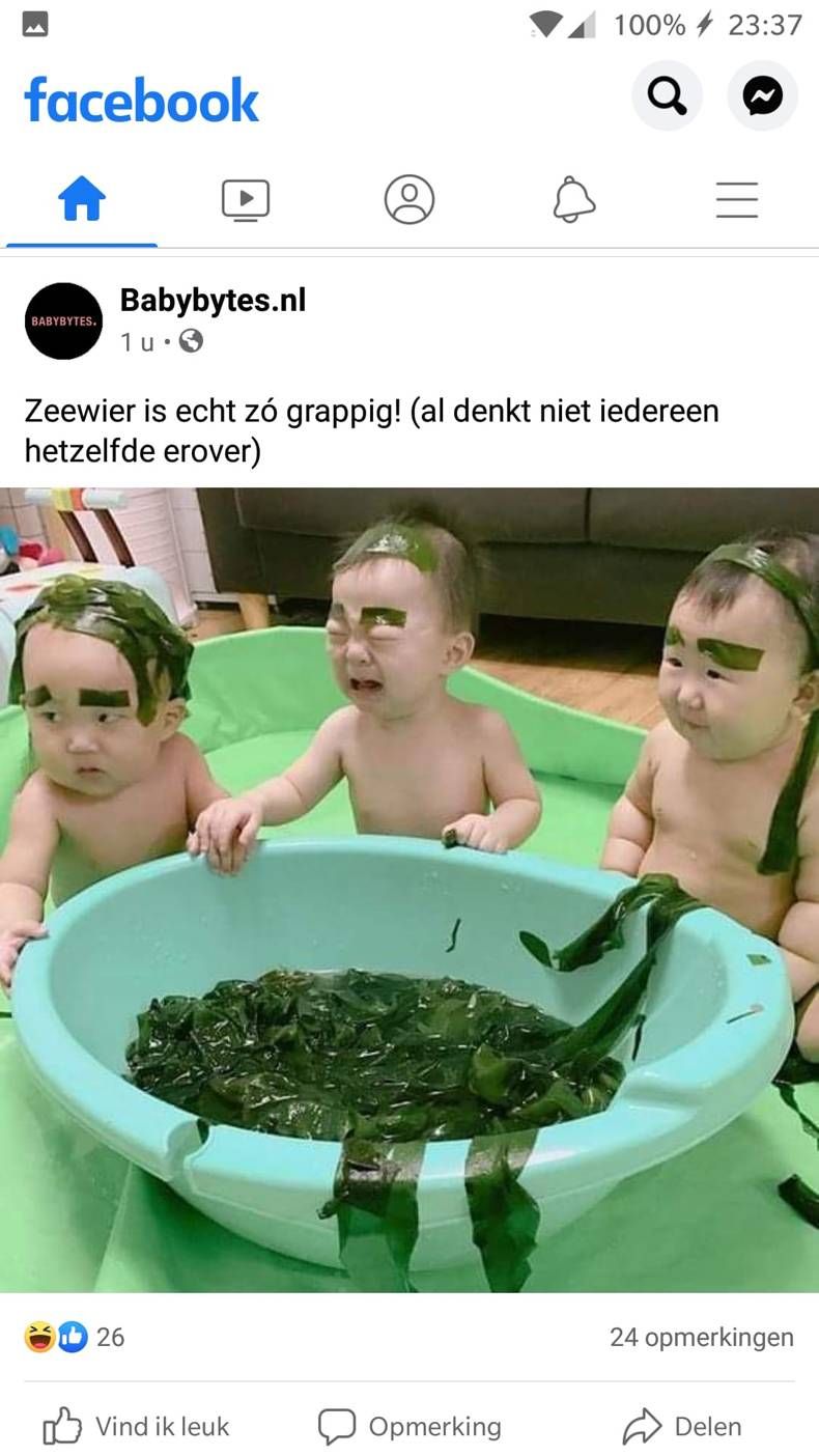 Gewoon een verzameling hilarische foto's #1479
