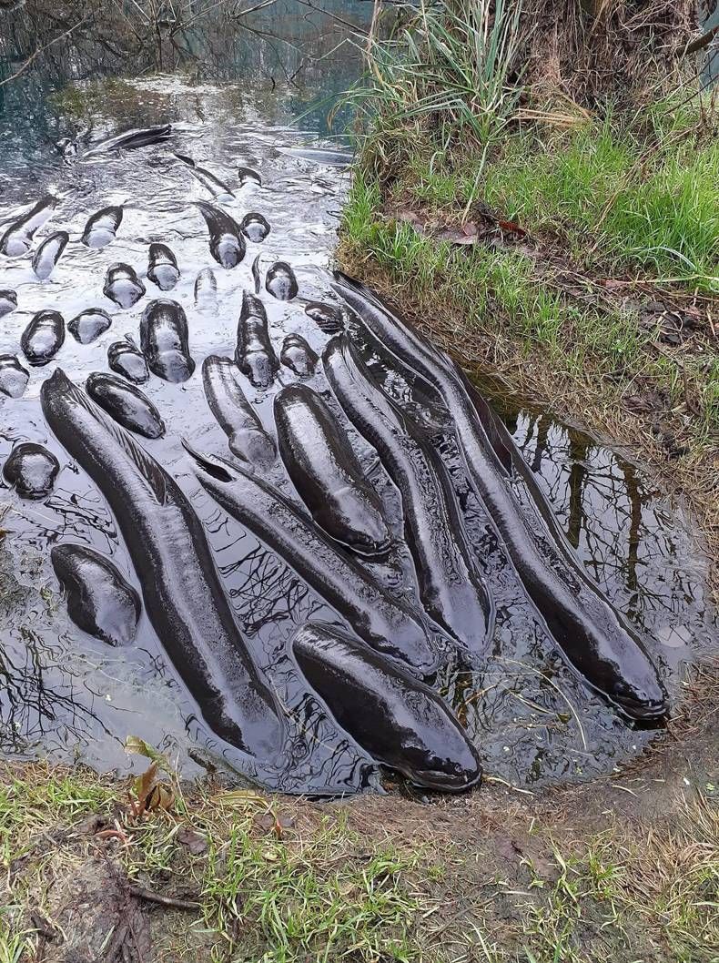 Gewoon een verzameling hilarische foto's #1477