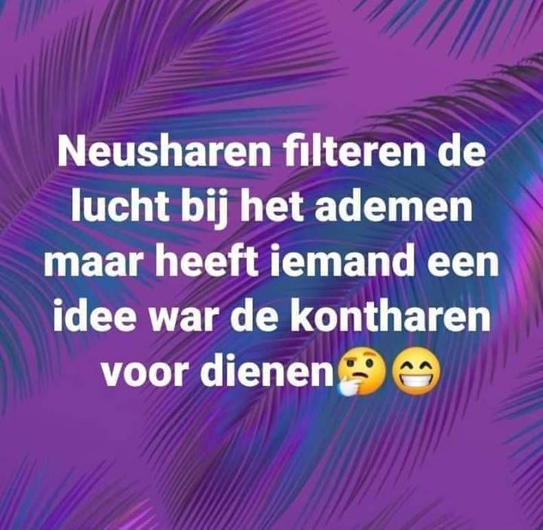 Gewoon een verzameling hilarische foto's #1475