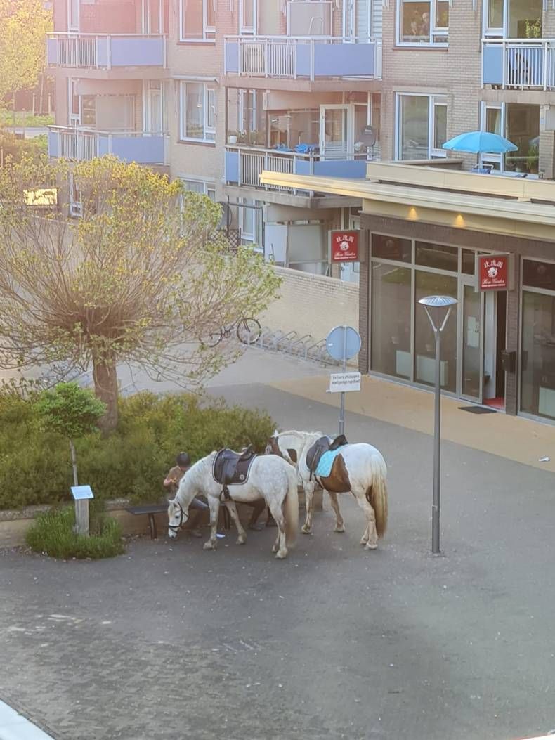 Gewoon een verzameling hilarische foto's #1447