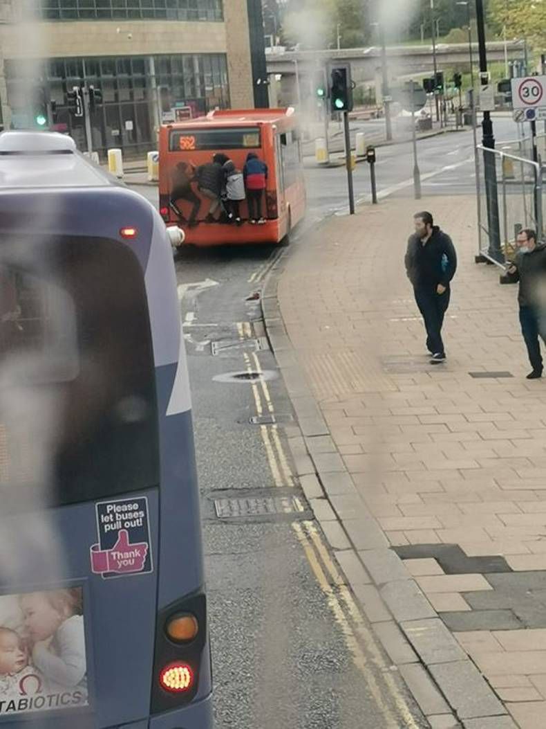 Gewoon een verzameling hilarische foto's #1436