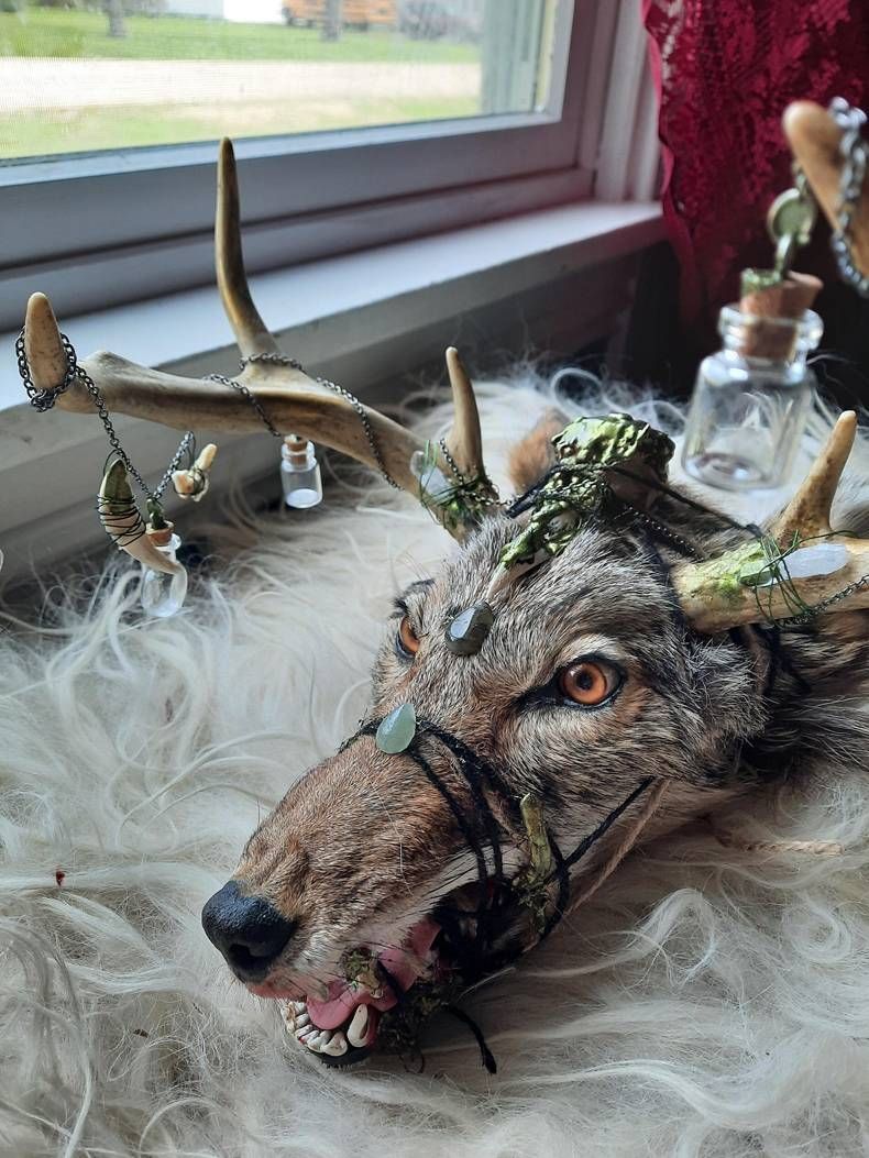 Gewoon een verzameling hilarische foto's #1432