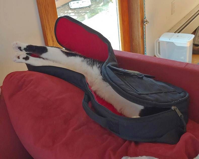 Gewoon een verzameling hilarische foto's #1420