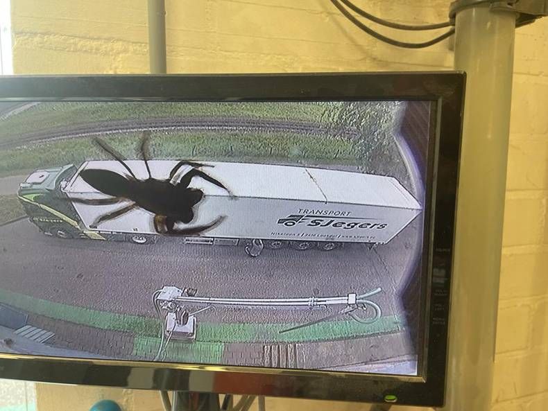Gewoon een verzameling hilarische foto's #1482