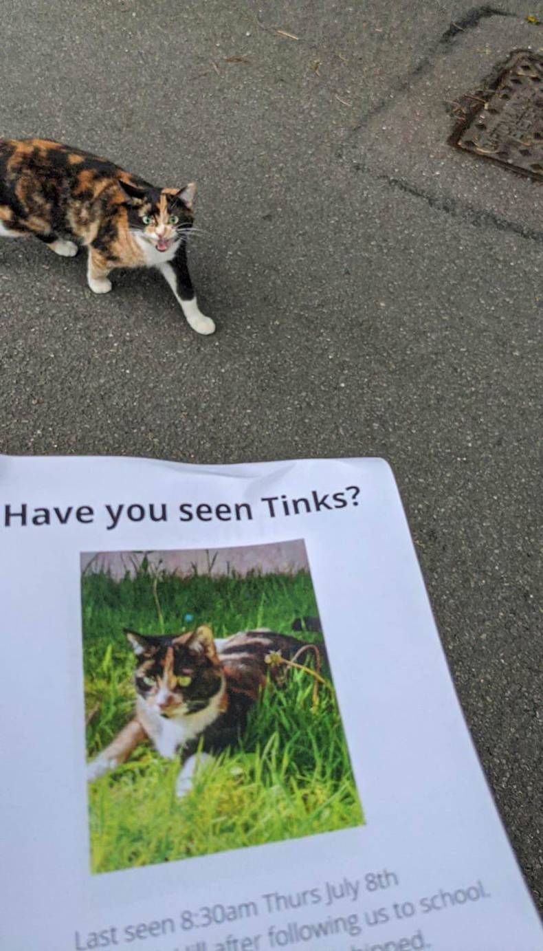 Gewoon een verzameling hilarische foto's #1466