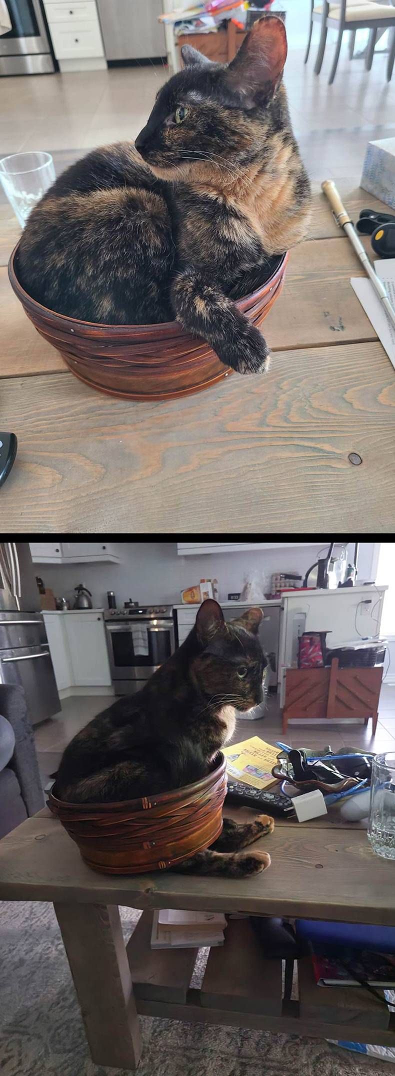 Gewoon een verzameling hilarische foto's #1444
