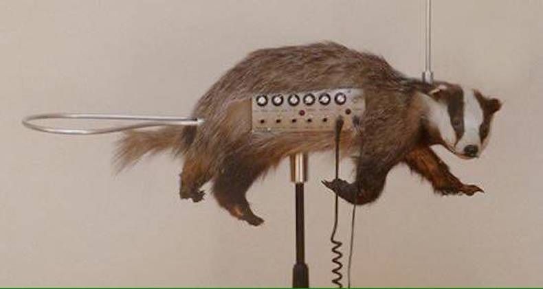 Gewoon een verzameling hilarische foto's #1469