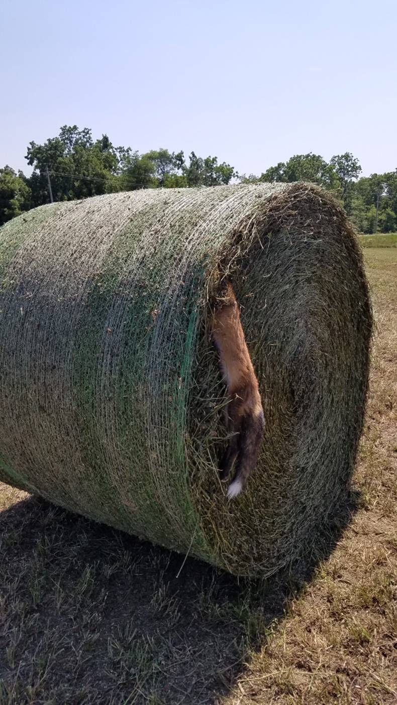 Gewoon een verzameling hilarische foto’s #1464