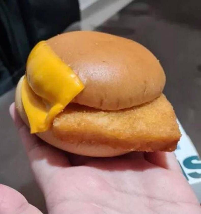 Gewoon een verzameling hilarische foto's #1436