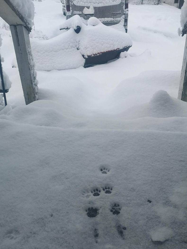 Gewoon een verzameling hilarische foto's #1383