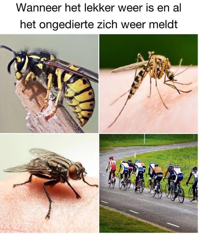 Gewoon een verzameling hilarische foto's #1449