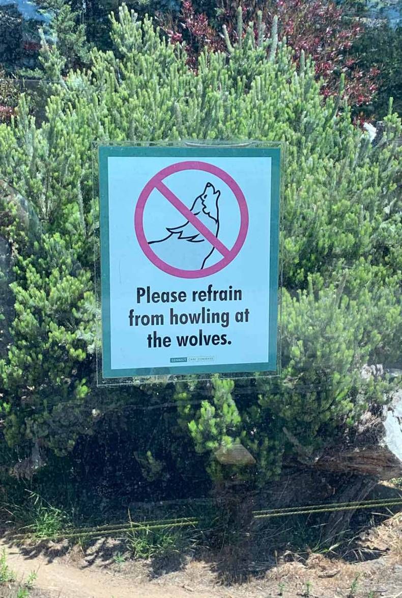 Gewoon een verzameling hilarische foto's #1466