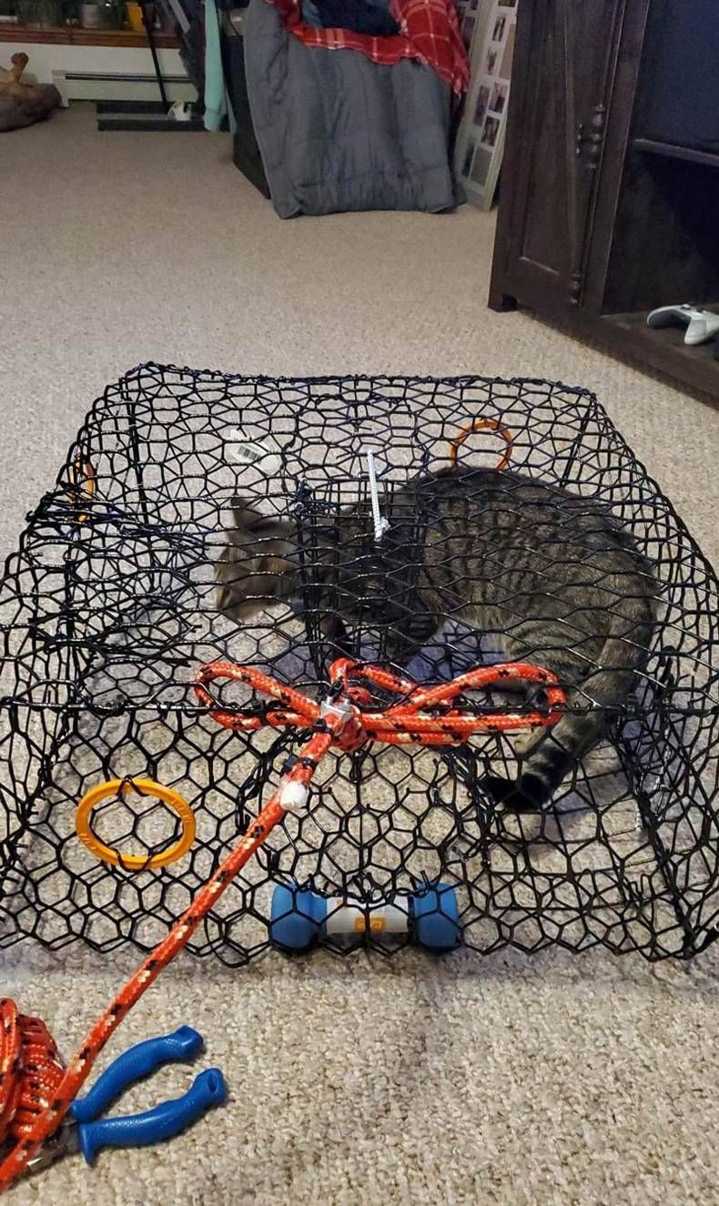 Gewoon een verzameling hilarische foto's #1432