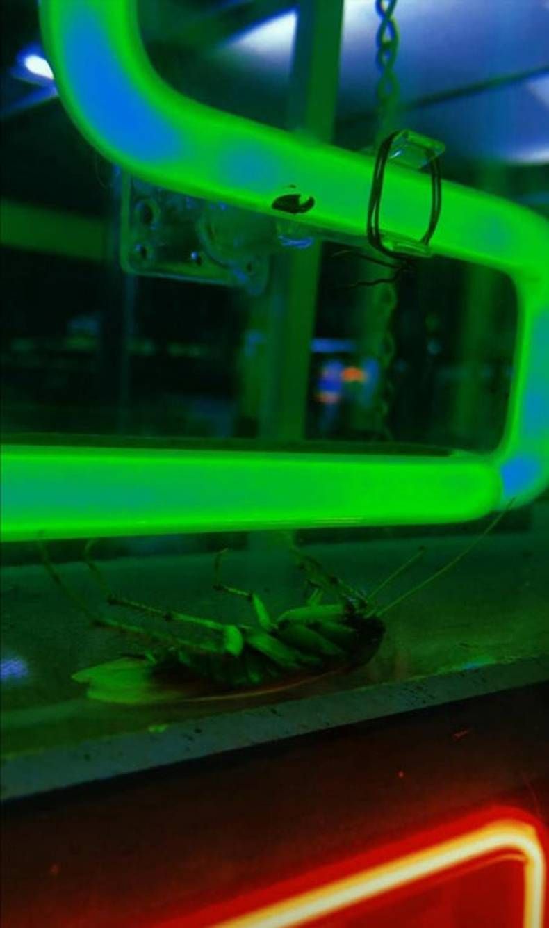 Gewoon een verzameling hilarische foto's #1390