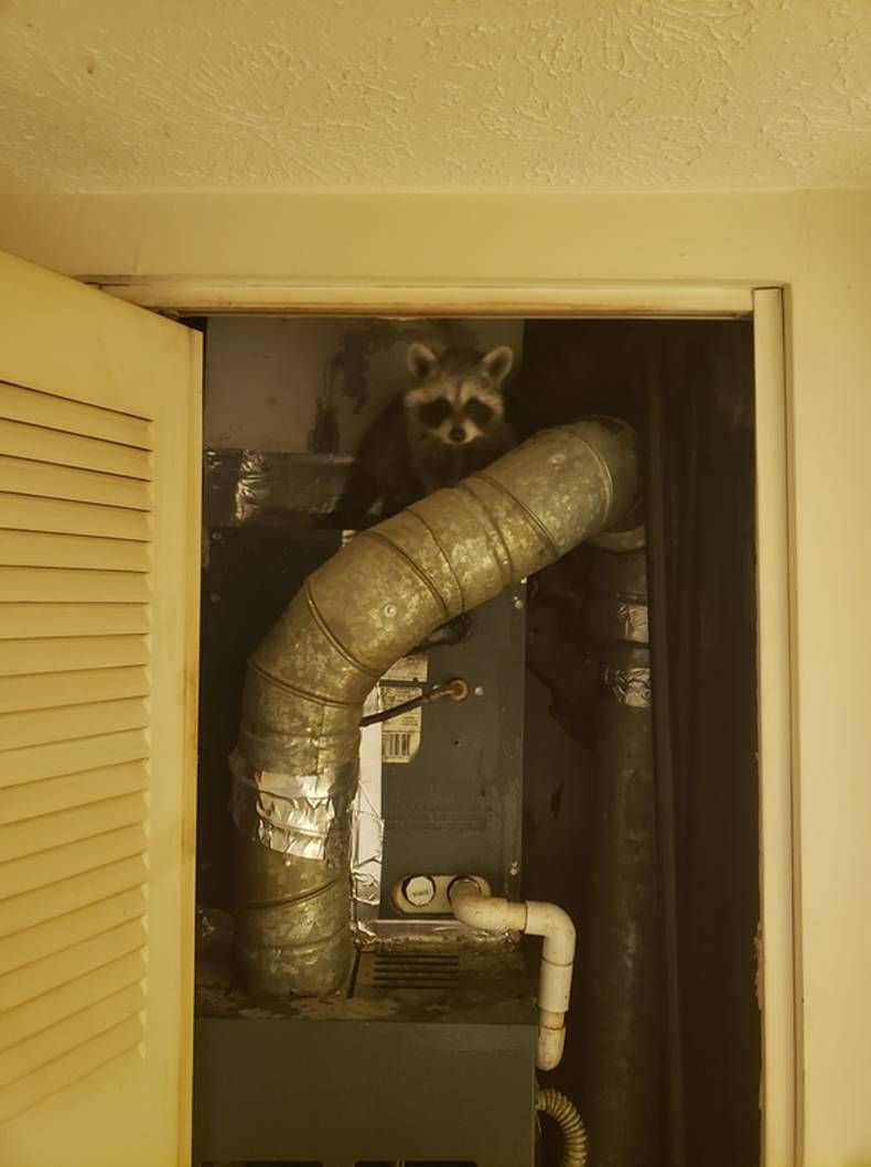 Gewoon een verzameling hilarische foto's #1466