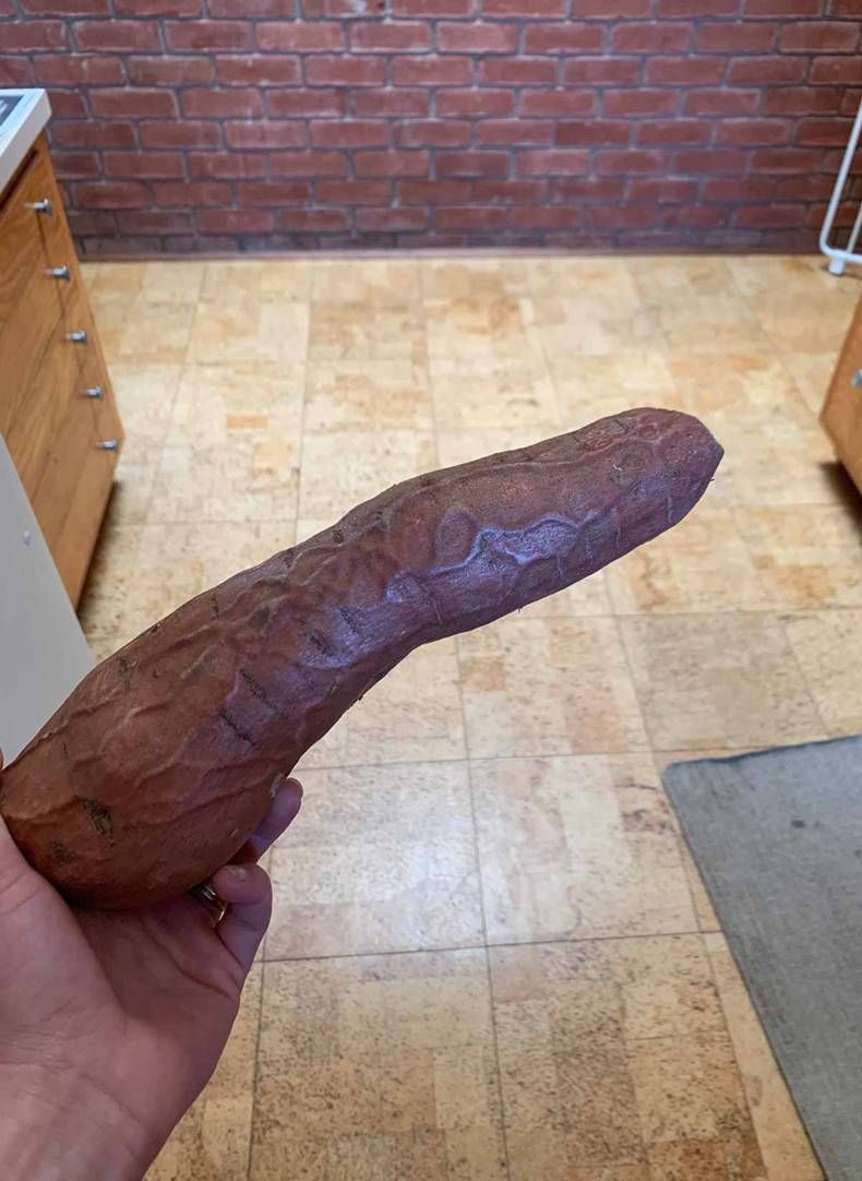 Gewoon een verzameling hilarische foto's #1469