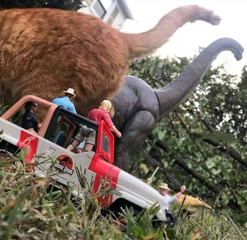 Gewoon een verzameling hilarische foto's #1482