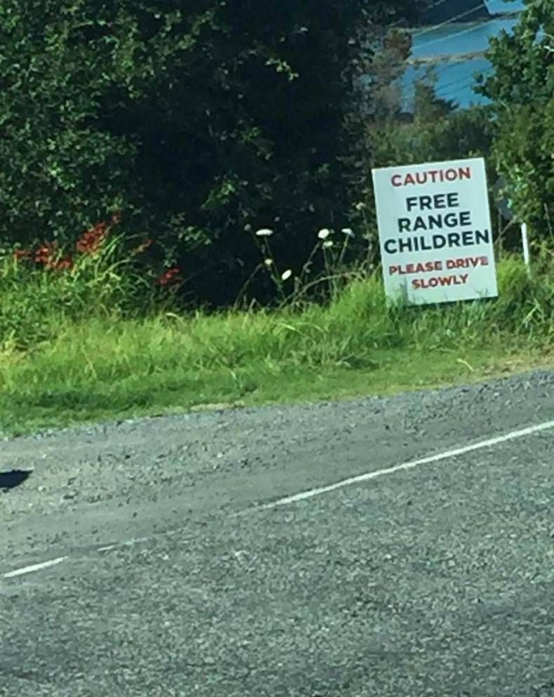 Gewoon een verzameling hilarische foto's #1390