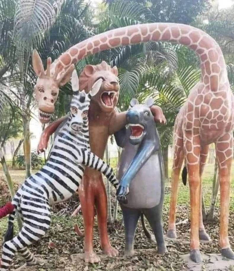 Gewoon een verzameling hilarische foto's #1409