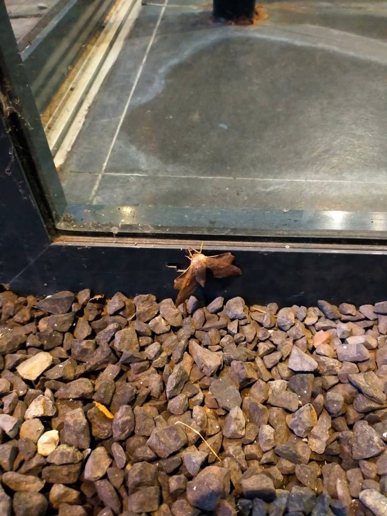 Gewoon een verzameling hilarische foto's #1475