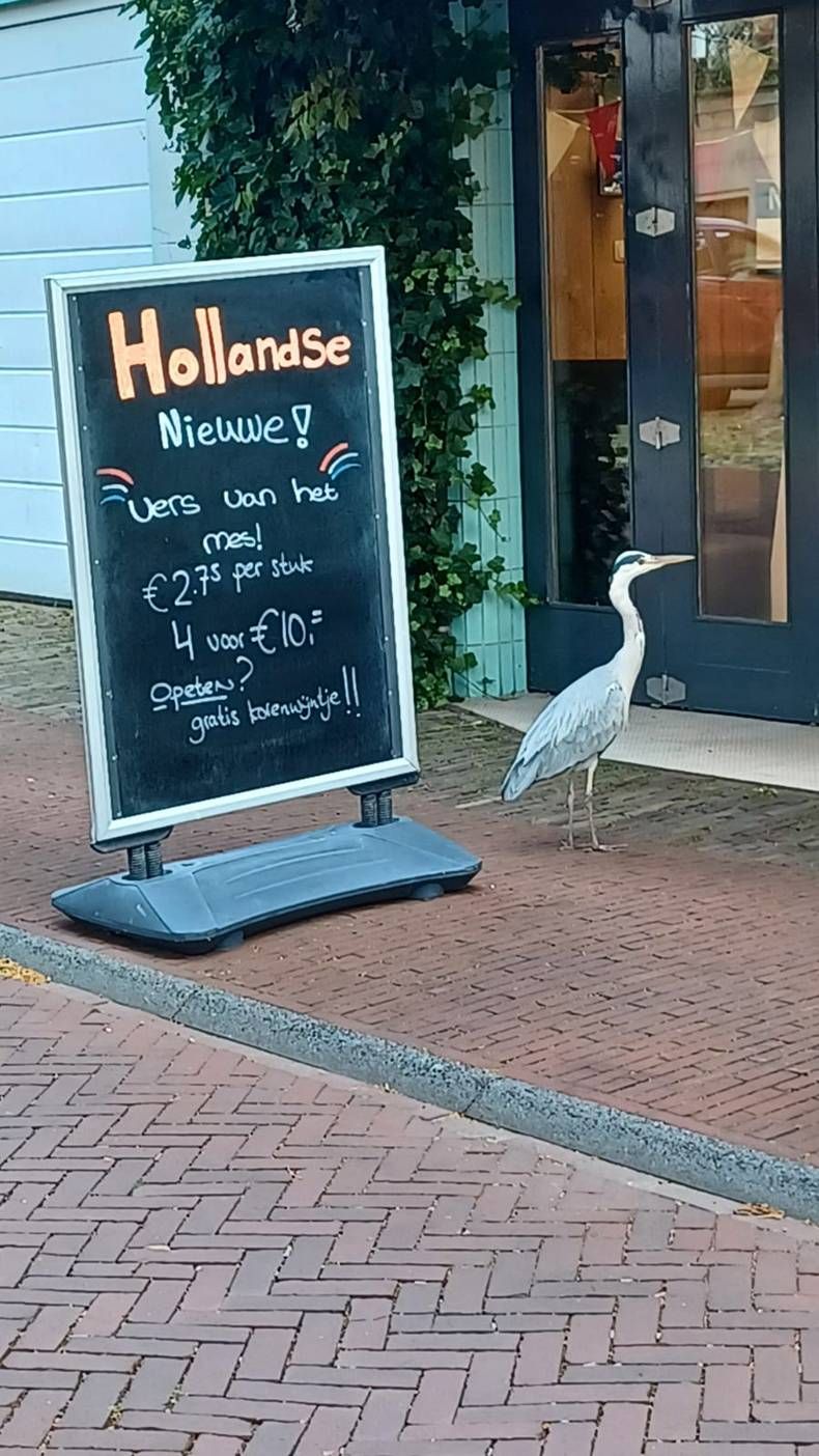 Gewoon een verzameling hilarische foto’s #1464