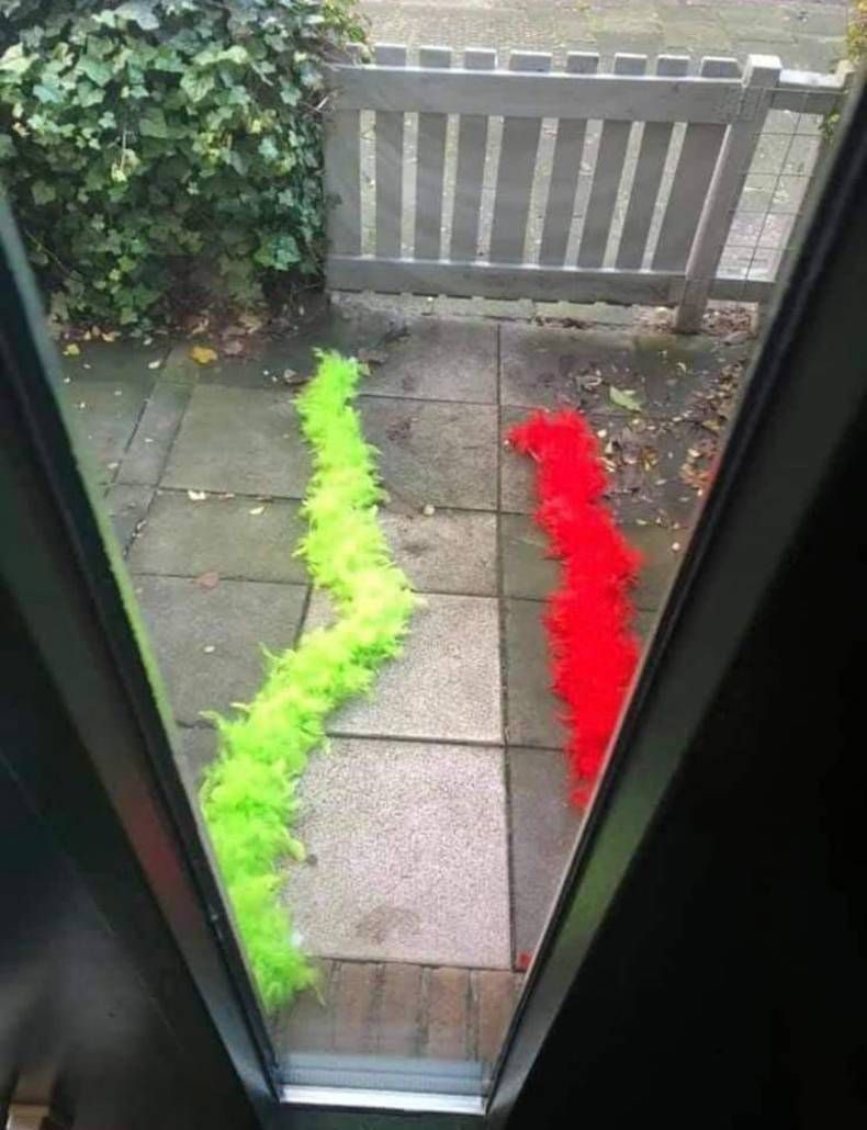 Gewoon een verzameling hilarische foto's #1392