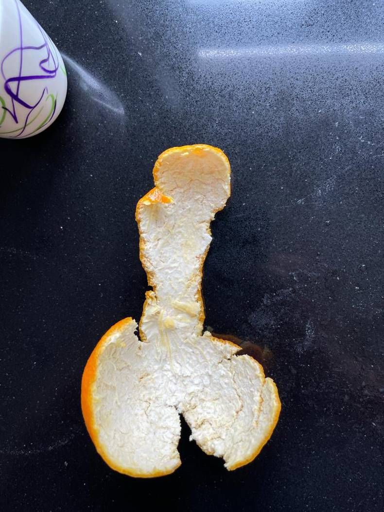 Gewoon een verzameling hilarische foto's #1458