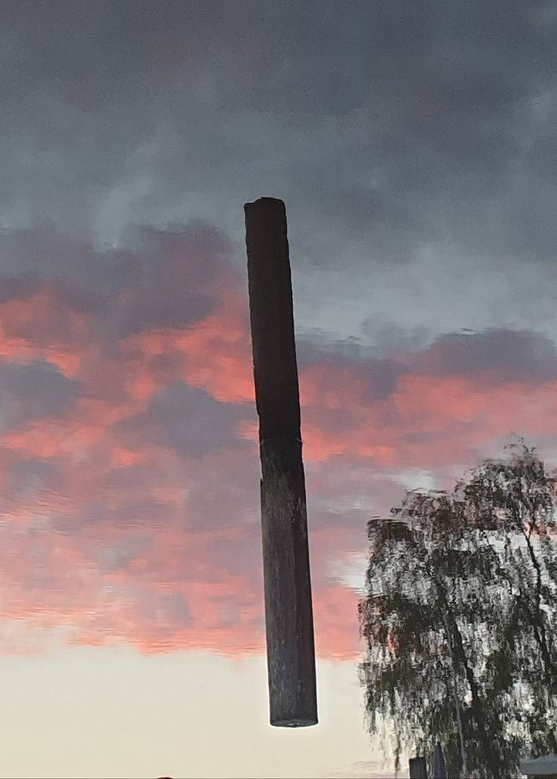 Gewoon een verzameling hilarische foto's #1445