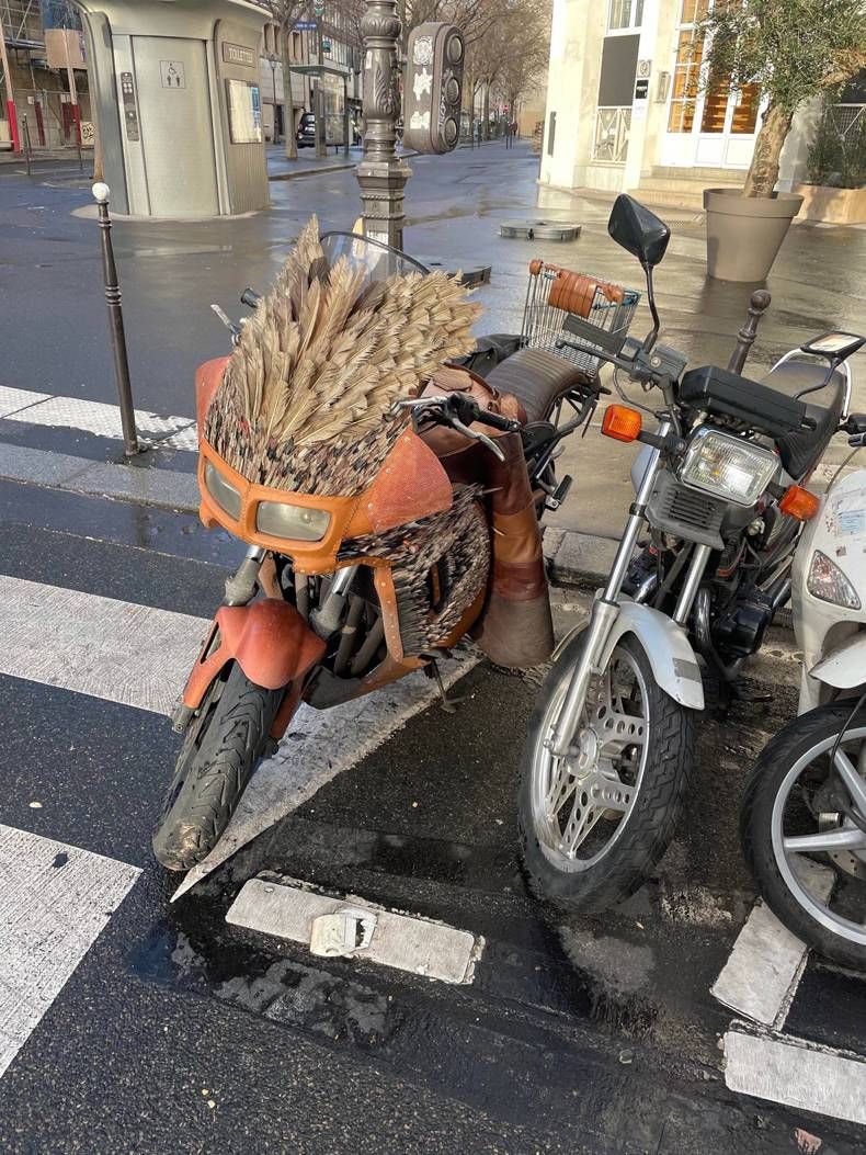 Gewoon een verzameling hilarische foto's #1382