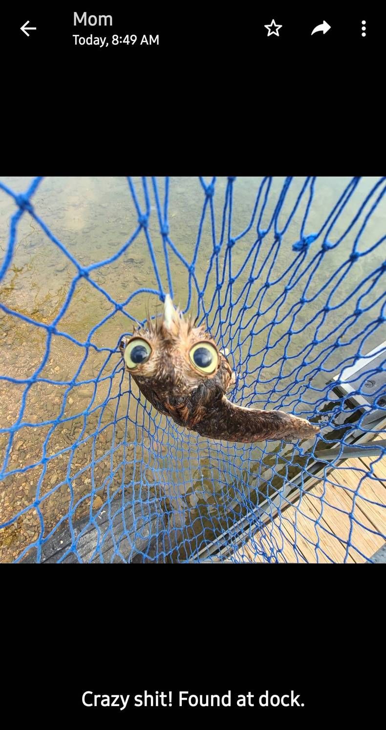 Gewoon een verzameling hilarische foto's #1475