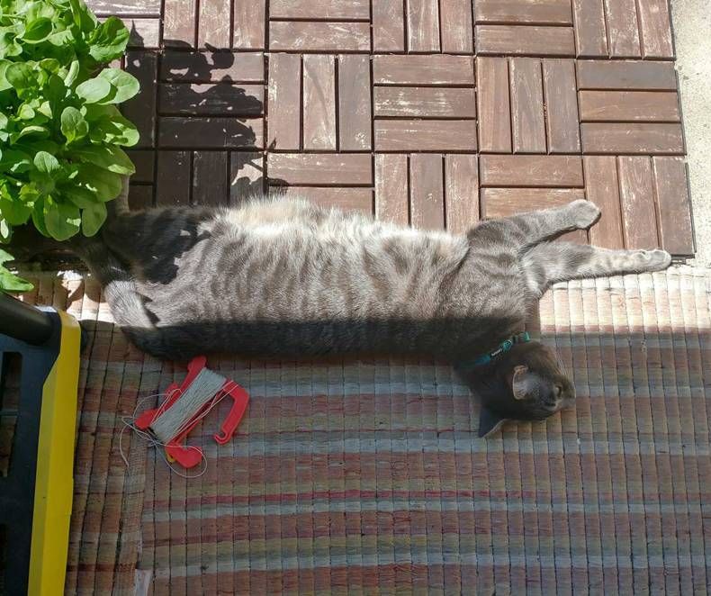 Gewoon een verzameling hilarische foto's #1438