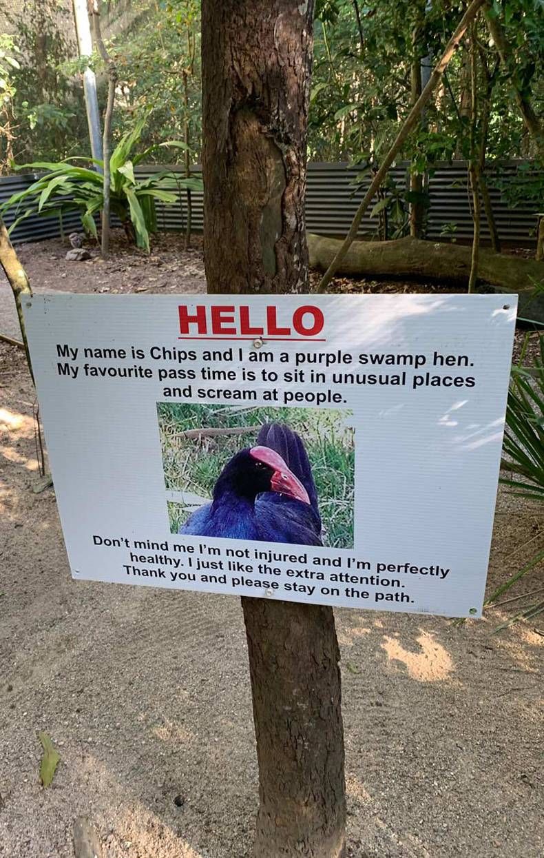 Gewoon een verzameling hilarische foto's #1436