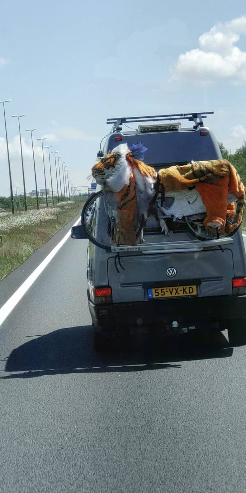 Gewoon een verzameling hilarische foto's #1447