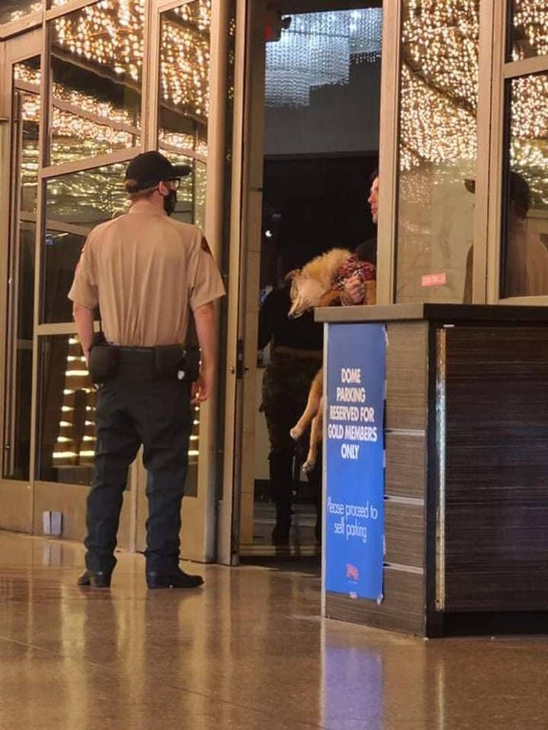 Gewoon een verzameling hilarische foto's #1475