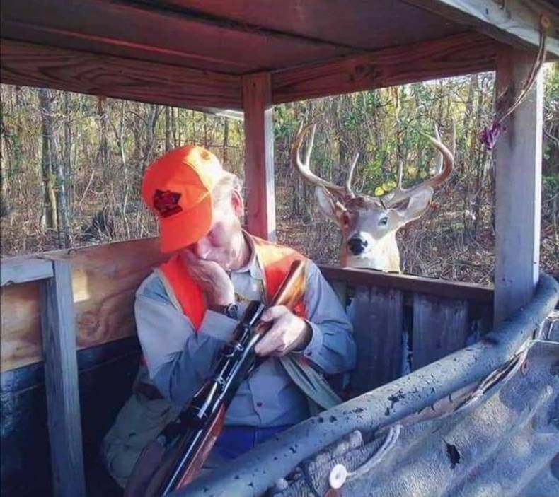 Gewoon een verzameling hilarische foto's #1438