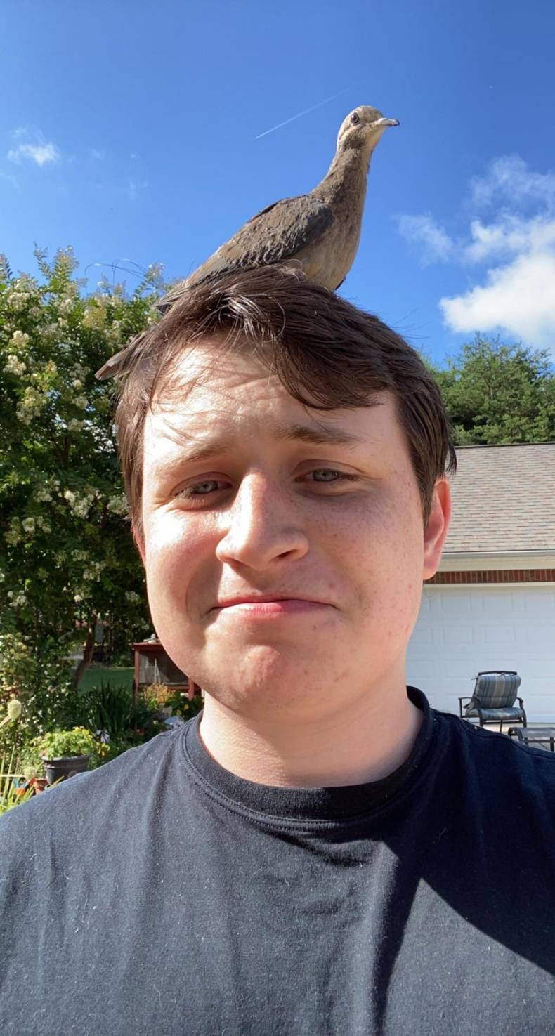 Gewoon een verzameling hilarische foto's #1466