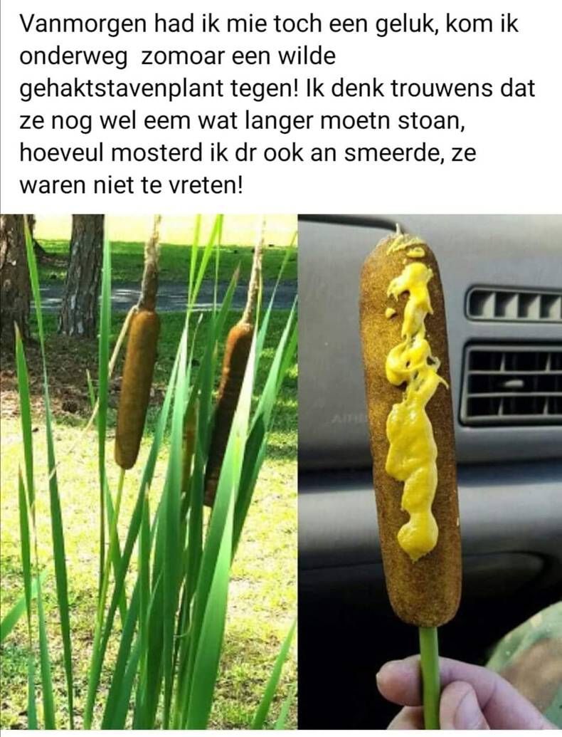Gewoon een verzameling hilarische foto's #1444