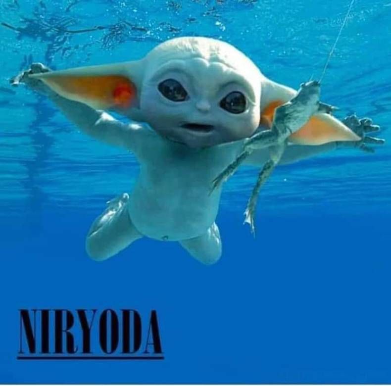 Gewoon een verzameling hilarische foto's #1436