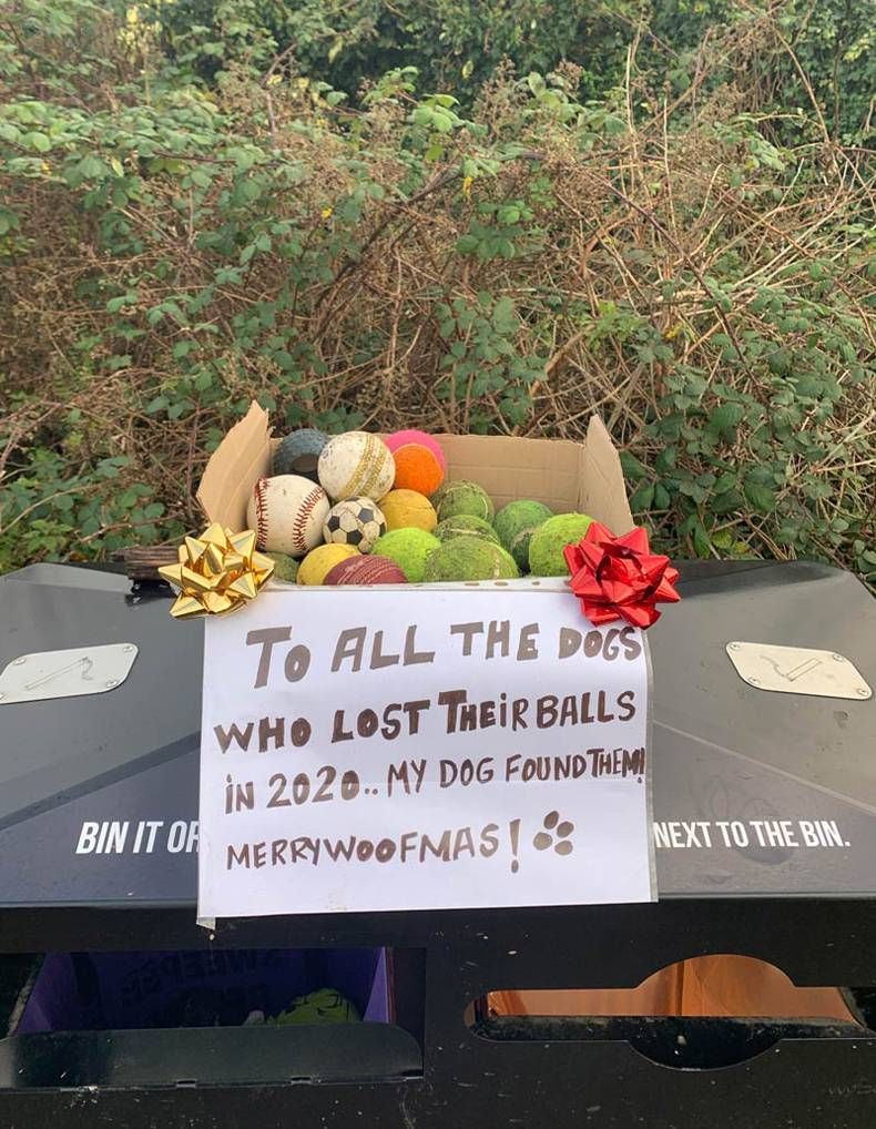 Gewoon een verzameling hilarische foto's #1382