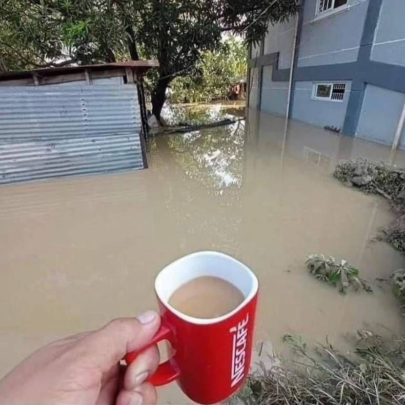 Gewoon een verzameling hilarische foto's #1440