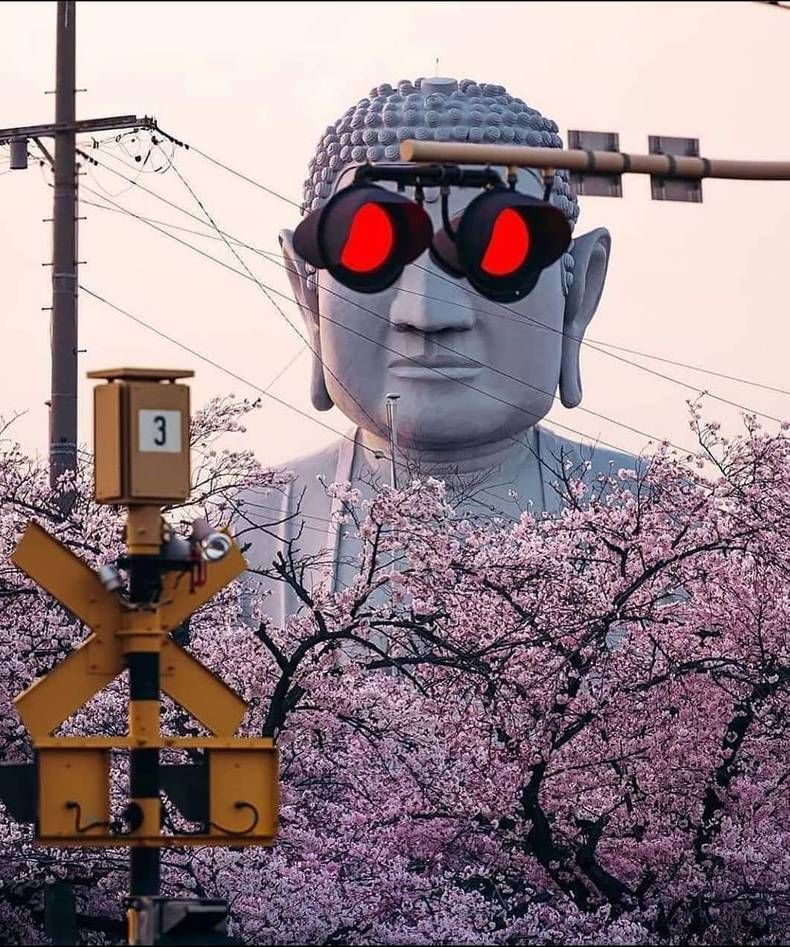 Gewoon een verzameling hilarische foto's #1421