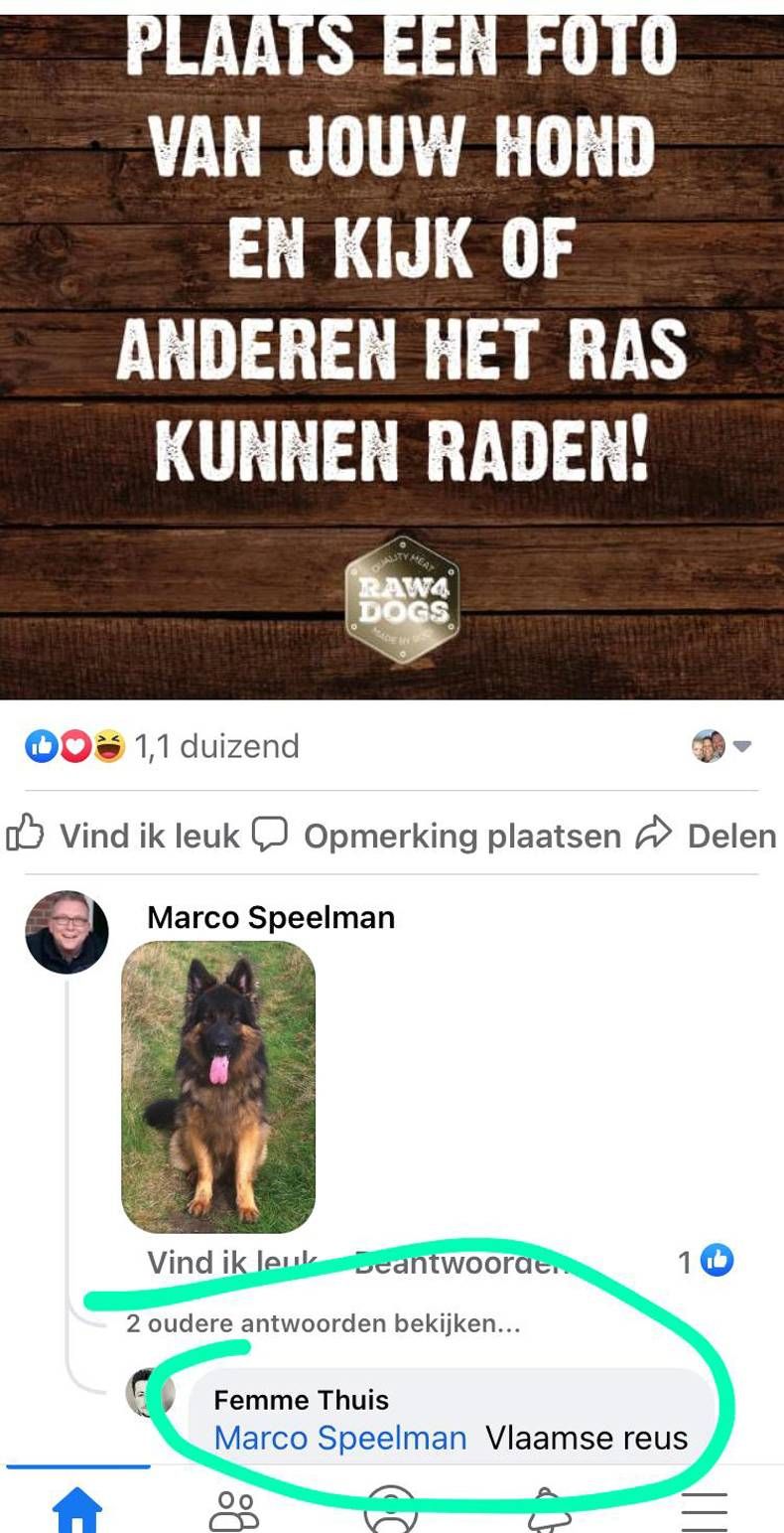 Gewoon een verzameling hilarische foto's #1477