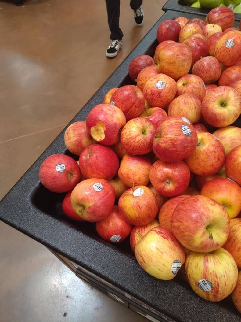 Gewoon een verzameling hilarische foto's #1468