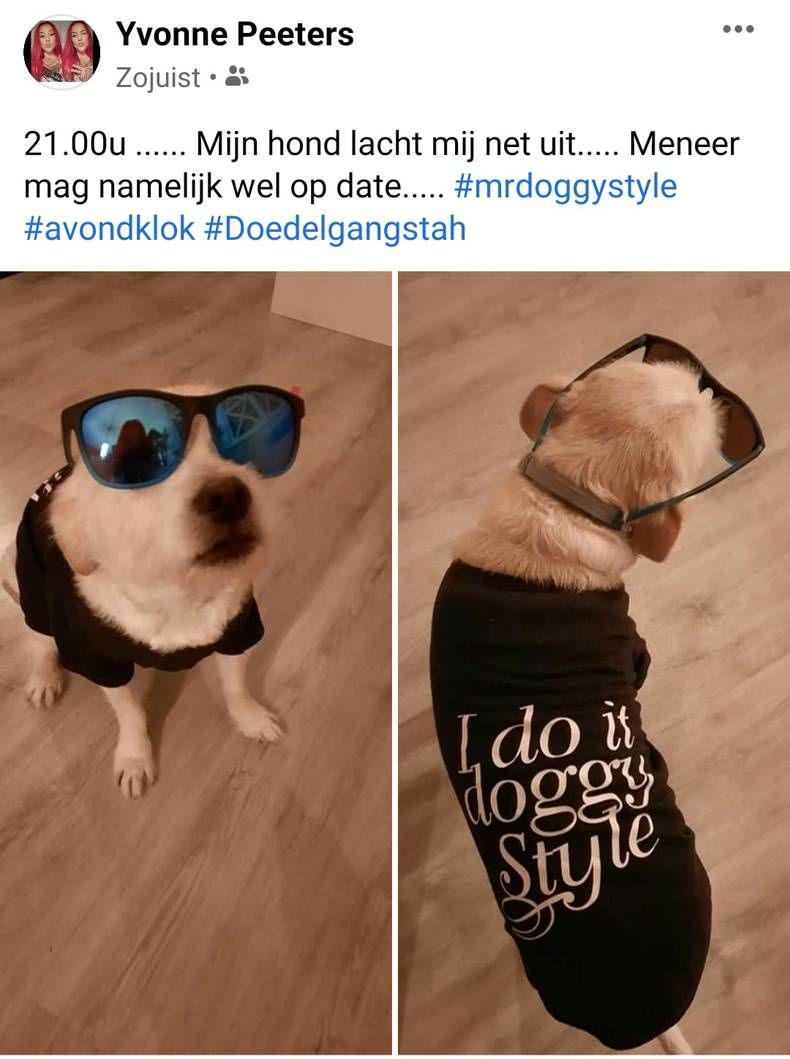 Gewoon een verzameling hilarische foto's #1394