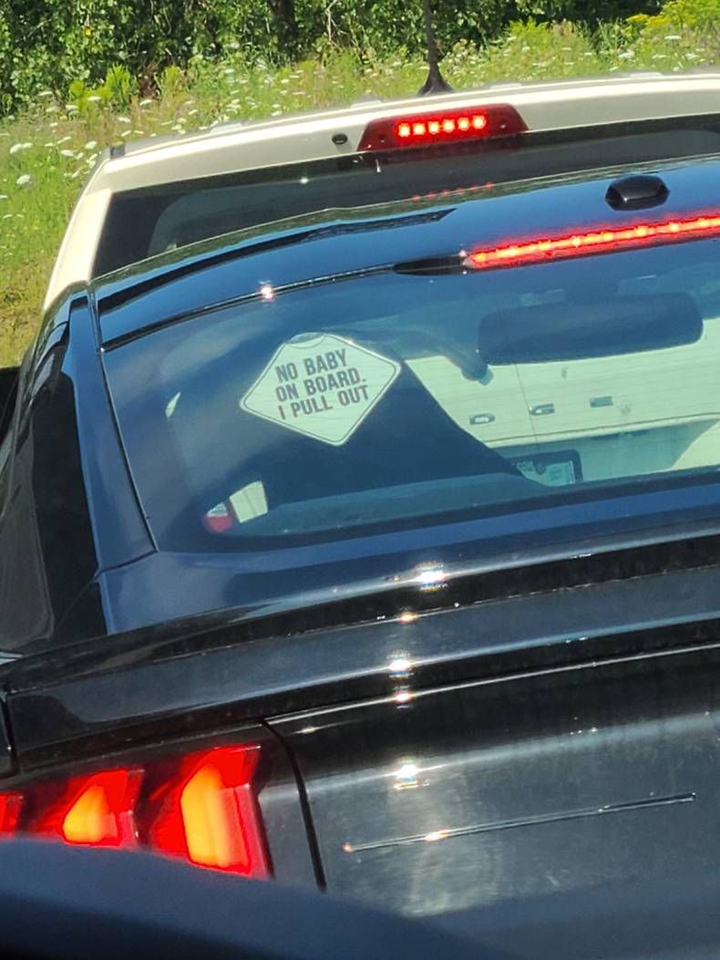 Gewoon een verzameling hilarische foto's #1479